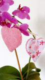 Lingettes coeurs démaquillantes lavables